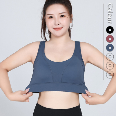 Sexy Mesh Plus Size Sports Bra Gathered Nylon Spandex 3 Colors